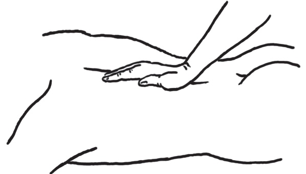 Иллюстрация к книге — Энциклопедия массажа [i_021.jpg]