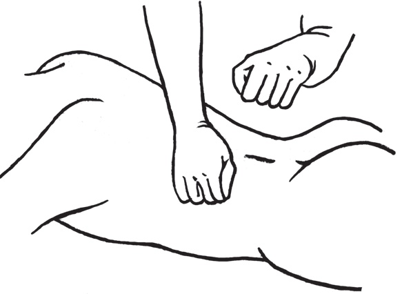 Иллюстрация к книге — Энциклопедия массажа [i_025.jpg]