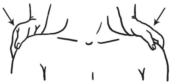 Иллюстрация к книге — Энциклопедия массажа [i_034.jpg]