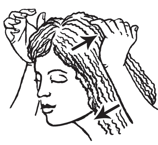 Иллюстрация к книге — Энциклопедия массажа [i_041.jpg]