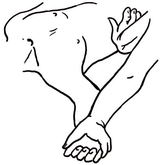 Иллюстрация к книге — Энциклопедия массажа [i_050.jpg]