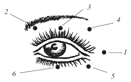 Иллюстрация к книге — Энциклопедия массажа [i_062.jpg]