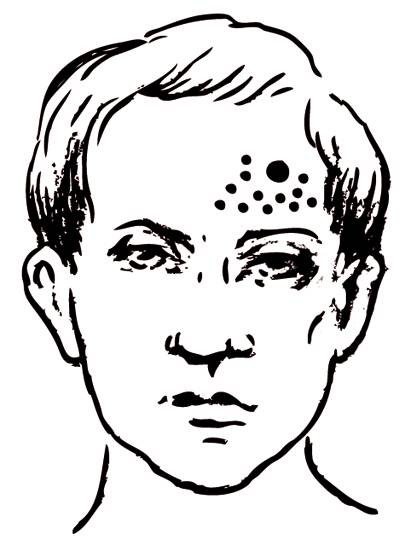 Иллюстрация к книге — Энциклопедия массажа [i_064.jpg]