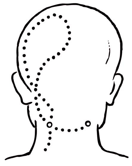 Иллюстрация к книге — Энциклопедия массажа [i_065.jpg]