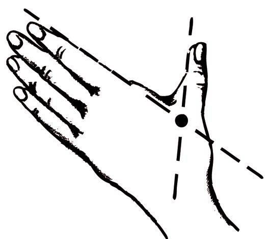 Иллюстрация к книге — Энциклопедия массажа [i_067.jpg]