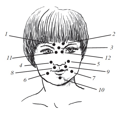 Иллюстрация к книге — Энциклопедия массажа [i_076.jpg]