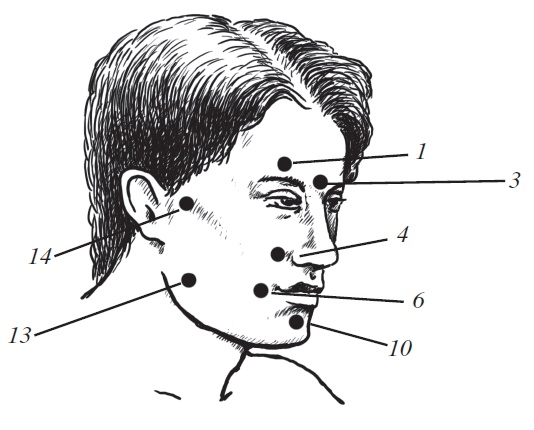 Иллюстрация к книге — Энциклопедия массажа [i_077.jpg]