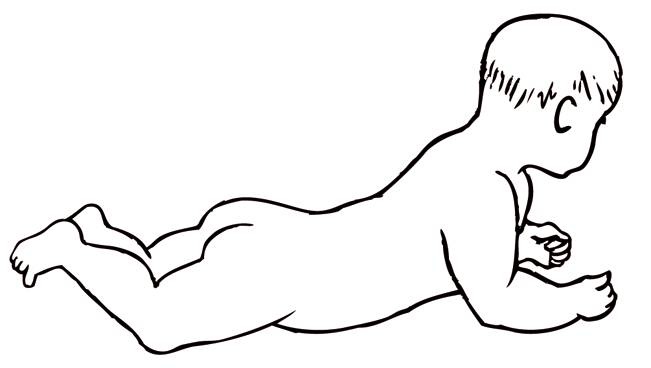 Иллюстрация к книге — Энциклопедия массажа [i_079.jpg]