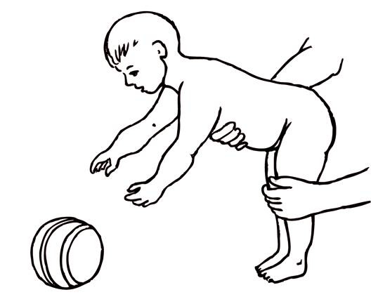 Иллюстрация к книге — Энциклопедия массажа [i_088.jpg]