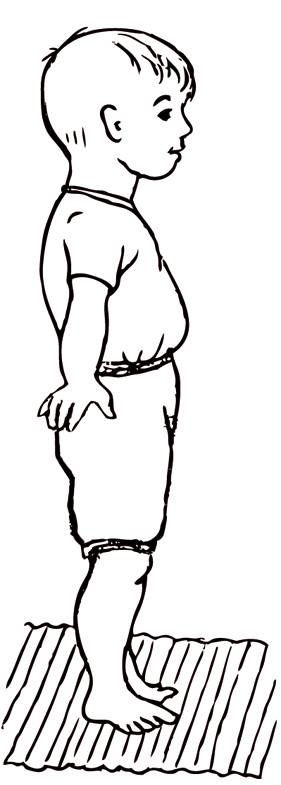 Иллюстрация к книге — Энциклопедия массажа [i_089.jpg]