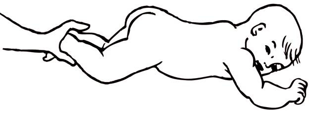 Иллюстрация к книге — Энциклопедия массажа [i_095.jpg]