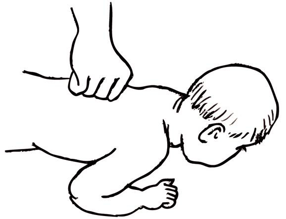 Иллюстрация к книге — Энциклопедия массажа [i_104.jpg]