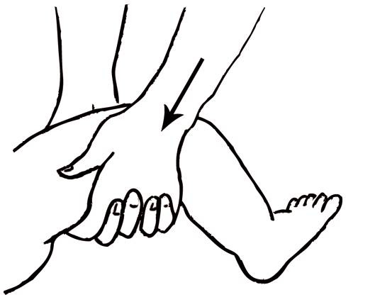 Иллюстрация к книге — Энциклопедия массажа [i_106.jpg]