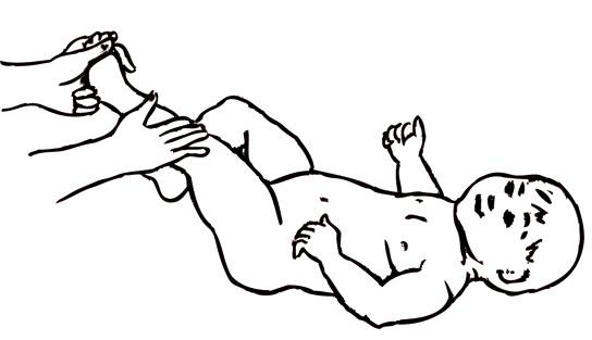 Иллюстрация к книге — Энциклопедия массажа [i_108.jpg]