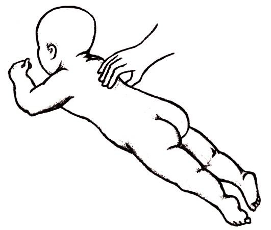 Иллюстрация к книге — Энциклопедия массажа [i_114.jpg]