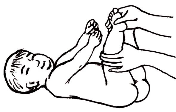 Иллюстрация к книге — Энциклопедия массажа [i_115.jpg]