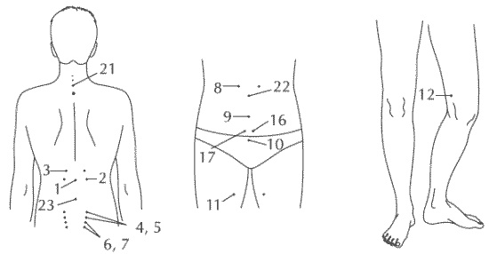 Иллюстрация к книге — Здоровье мужчины после сорока [i_001.jpg]