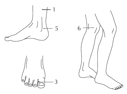 Иллюстрация к книге — Здоровье мужчины после сорока [i_002.jpg]