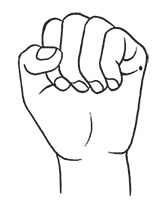 Иллюстрация к книге — Здоровье женщины. Энциклопедия [Autogen_eBook_id8.jpg]