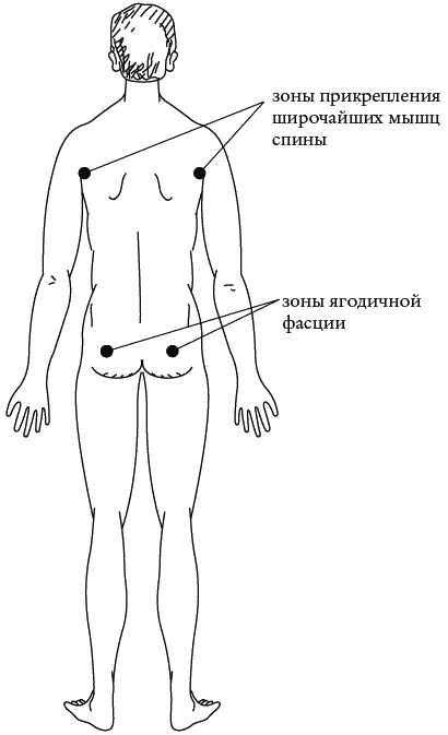 Иллюстрация к книге — Экстренная помощь при травмах, болевых шоках и воспалениях. Опыт работы в чрезвычайных ситуациях [_217.jpg]