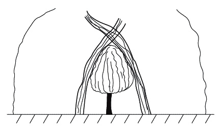 Иллюстрация к книге — Экстренная помощь при травмах, болевых шоках и воспалениях. Опыт работы в чрезвычайных ситуациях [_231.jpg]
