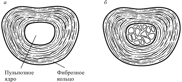 Иллюстрация к книге — Здоровье вашего позвоночника [i_003.jpg]