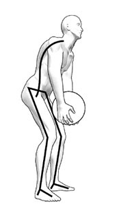 Иллюстрация к книге — Здоровье вашего позвоночника [i_017.jpg]