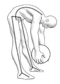 Иллюстрация к книге — Здоровье вашего позвоночника [i_018.jpg]