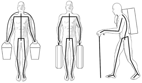 Иллюстрация к книге — Здоровье вашего позвоночника [i_019.jpg]