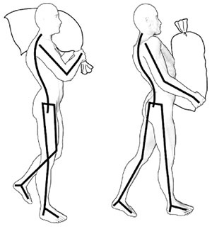 Иллюстрация к книге — Здоровье вашего позвоночника [i_020.jpg]