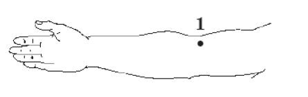 Иллюстрация к книге — Здоровье без таблеток. Натуральные заменители химических лекарств [i_002.jpg]