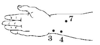Иллюстрация к книге — Здоровье без таблеток. Натуральные заменители химических лекарств [i_004.jpg]