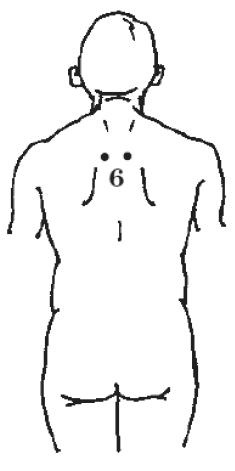 Иллюстрация к книге — Здоровье без таблеток. Натуральные заменители химических лекарств [i_007.jpg]