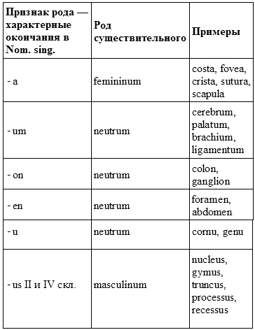 Иллюстрация к книге — Латинский язык для медиков. Конспект лекций [i_011.jpg]