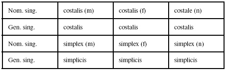 Иллюстрация к книге — Латинский язык для медиков. Конспект лекций [i_017.jpg]