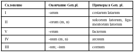 Иллюстрация к книге — Латинский язык для медиков. Конспект лекций [i_025.jpg]
