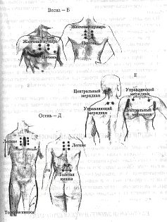 Иллюстрация к книге — Энергетическая медицина [_09.jpg]