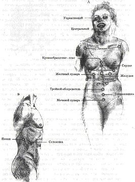 Иллюстрация к книге — Энергетическая медицина [_23.jpg]