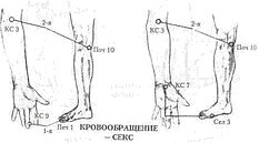 Иллюстрация к книге — Энергетическая медицина [_30.jpg]