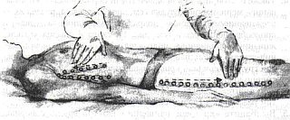 Иллюстрация к книге — Энергетическая медицина [_49.jpg]