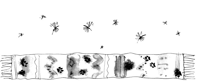 Иллюстрация к книге — Коты, призраки и одна бабушка [_09.jpg]