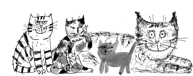 Иллюстрация к книге — Коты, призраки и одна бабушка [_10.jpg]