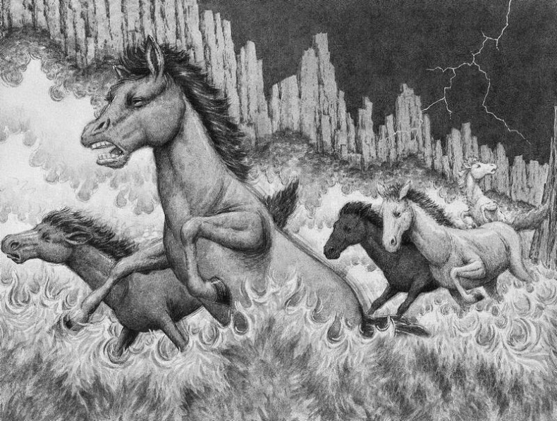 Иллюстрация к книге — Побег [i_005.jpg]