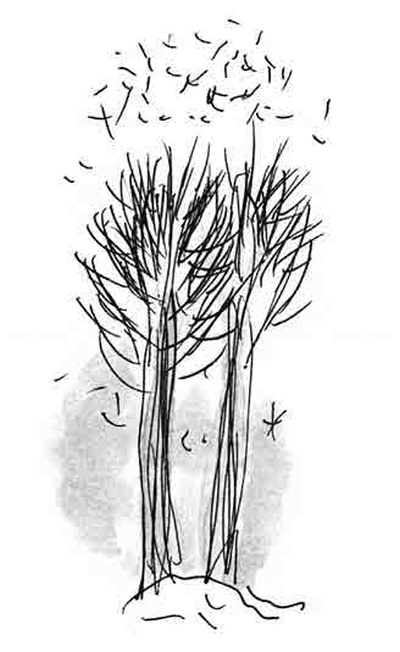 Иллюстрация к книге — Машка как символ веры [i_001.jpg]