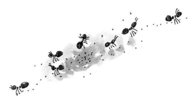 Иллюстрация к книге — Машка как символ веры [i_010.jpg]