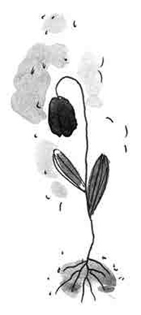 Иллюстрация к книге — Машка как символ веры [i_037.jpg]