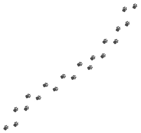 Иллюстрация к книге — Подарок от кота Боба [i_001.jpg]