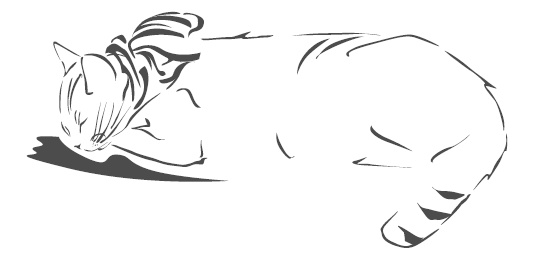 Иллюстрация к книге — Подарок от кота Боба [i_039.jpg]