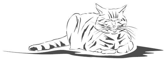 Иллюстрация к книге — Подарок от кота Боба [i_078.jpg]