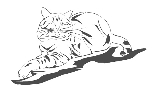 Иллюстрация к книге — Подарок от кота Боба [i_139.jpg]